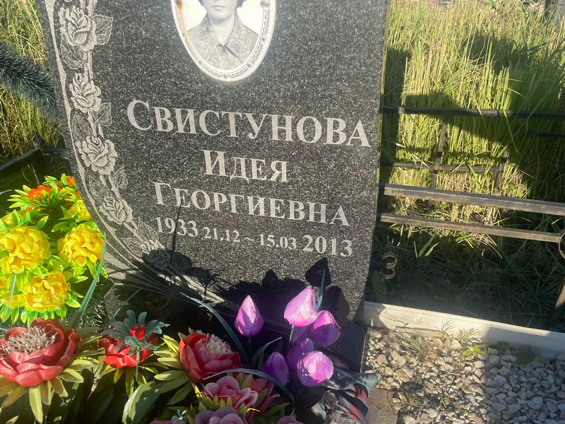 Идея Свистунова Георгиевна