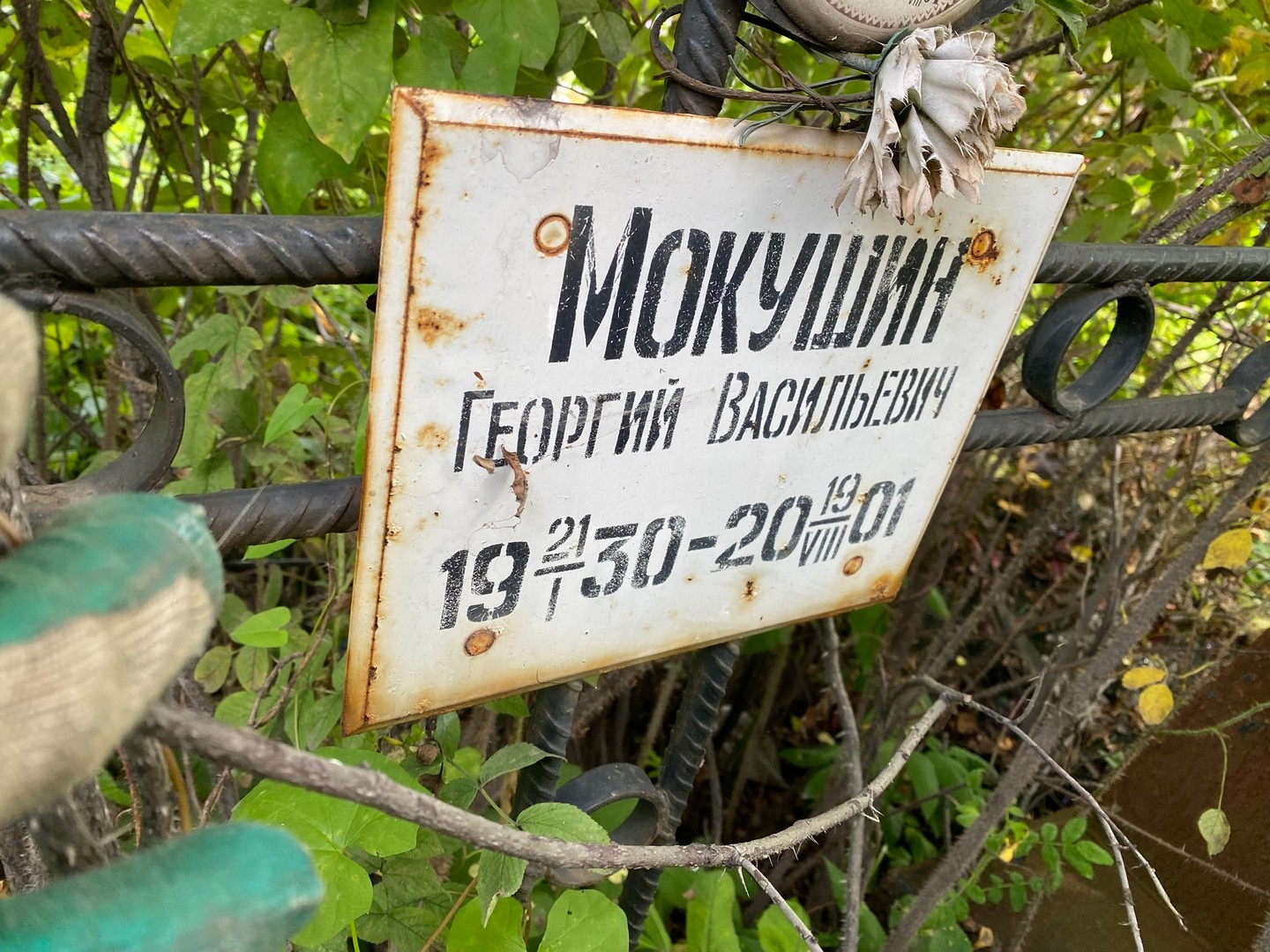 Мокушин