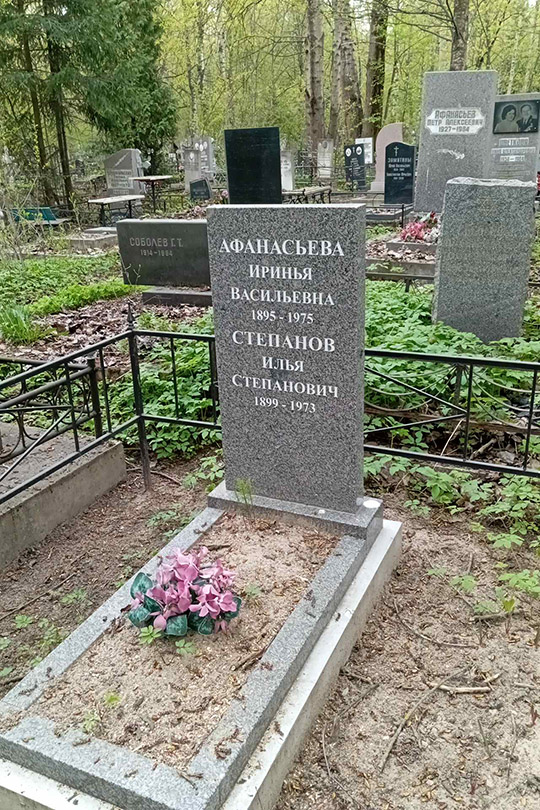 Степанов Илья Степанович