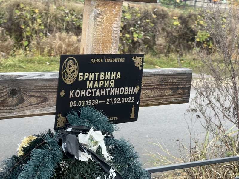 Бритвина
