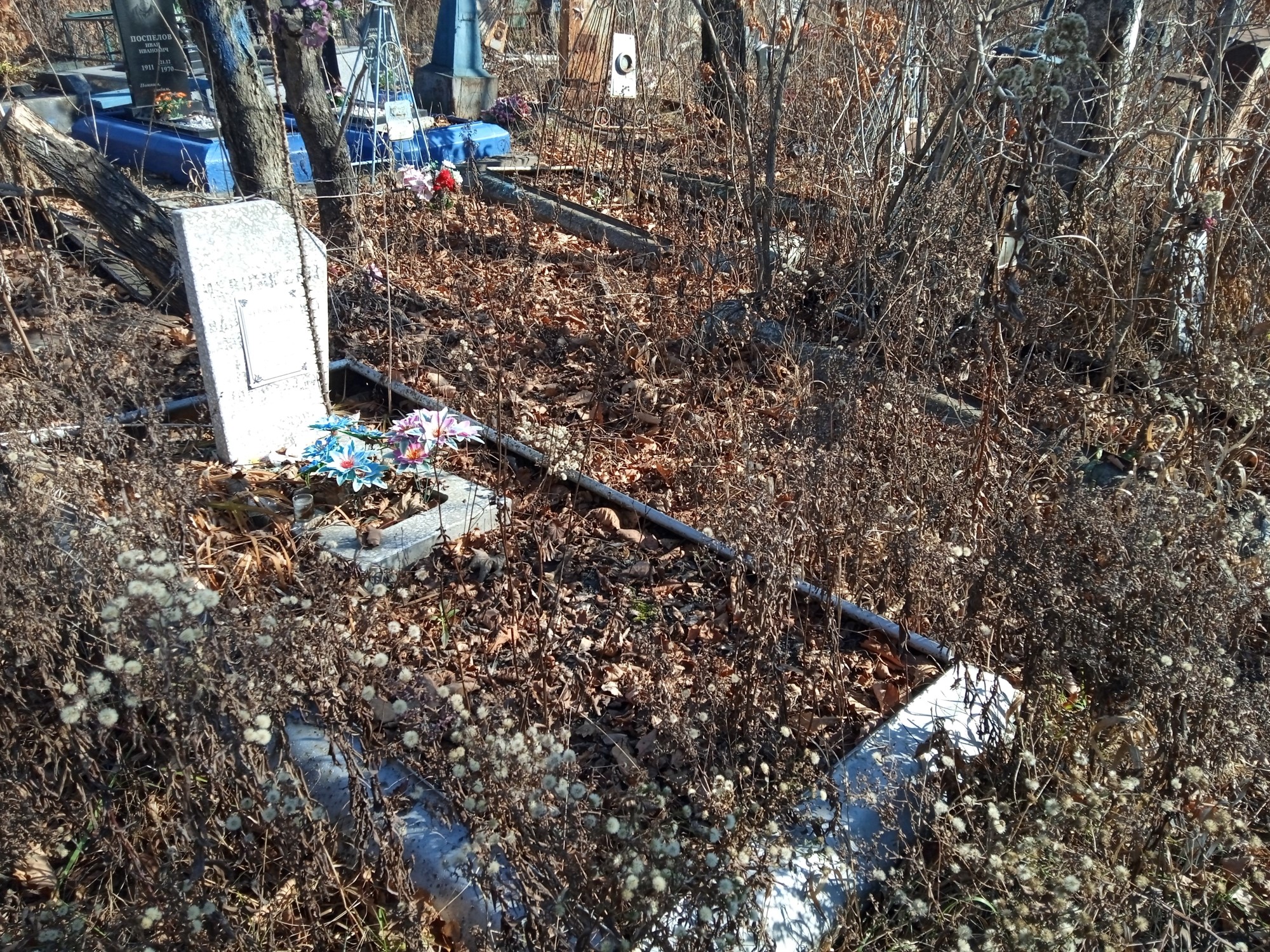 Чернышёв Николай Павлович