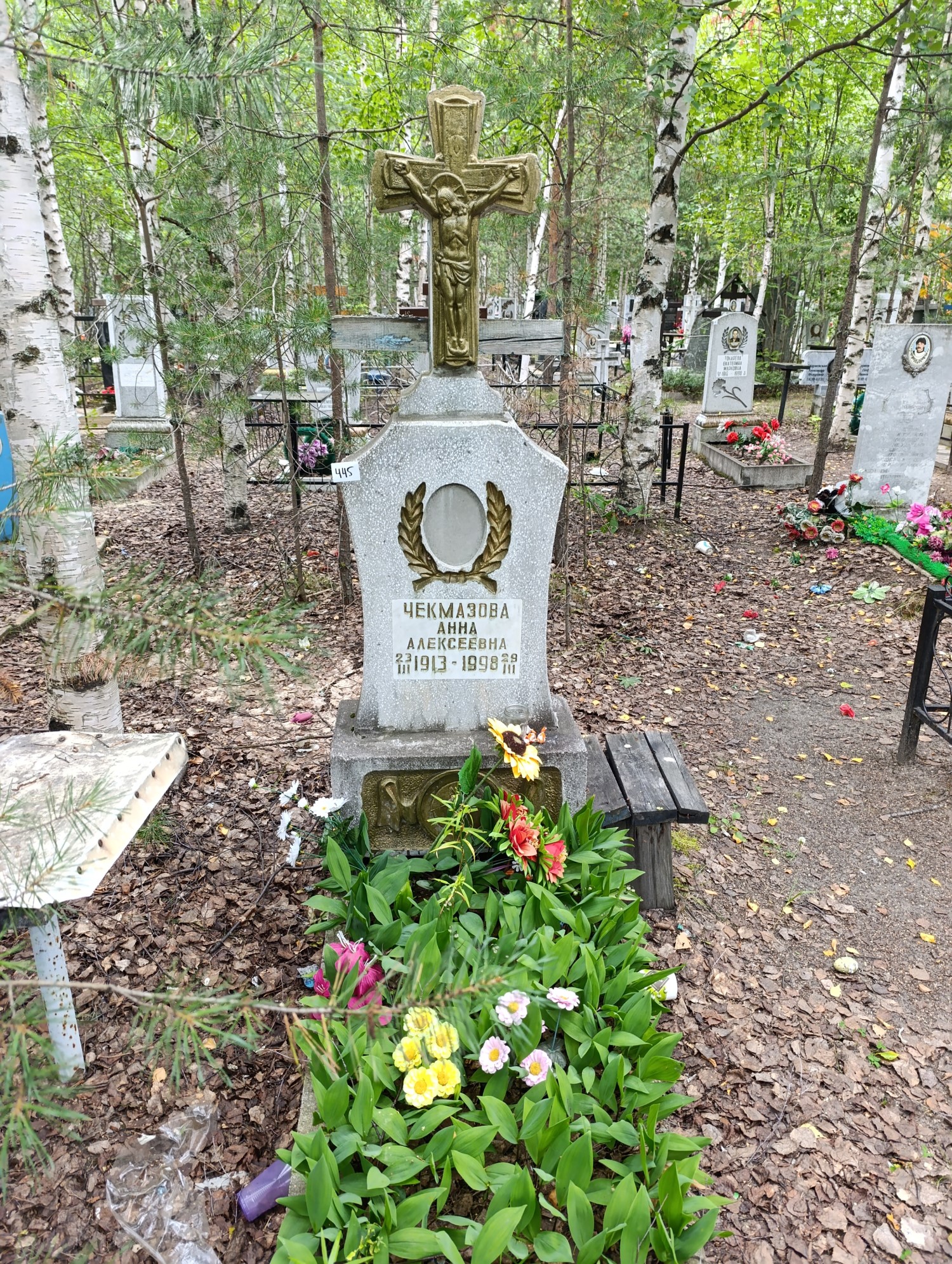 Чекмазова Анна Алексеевна