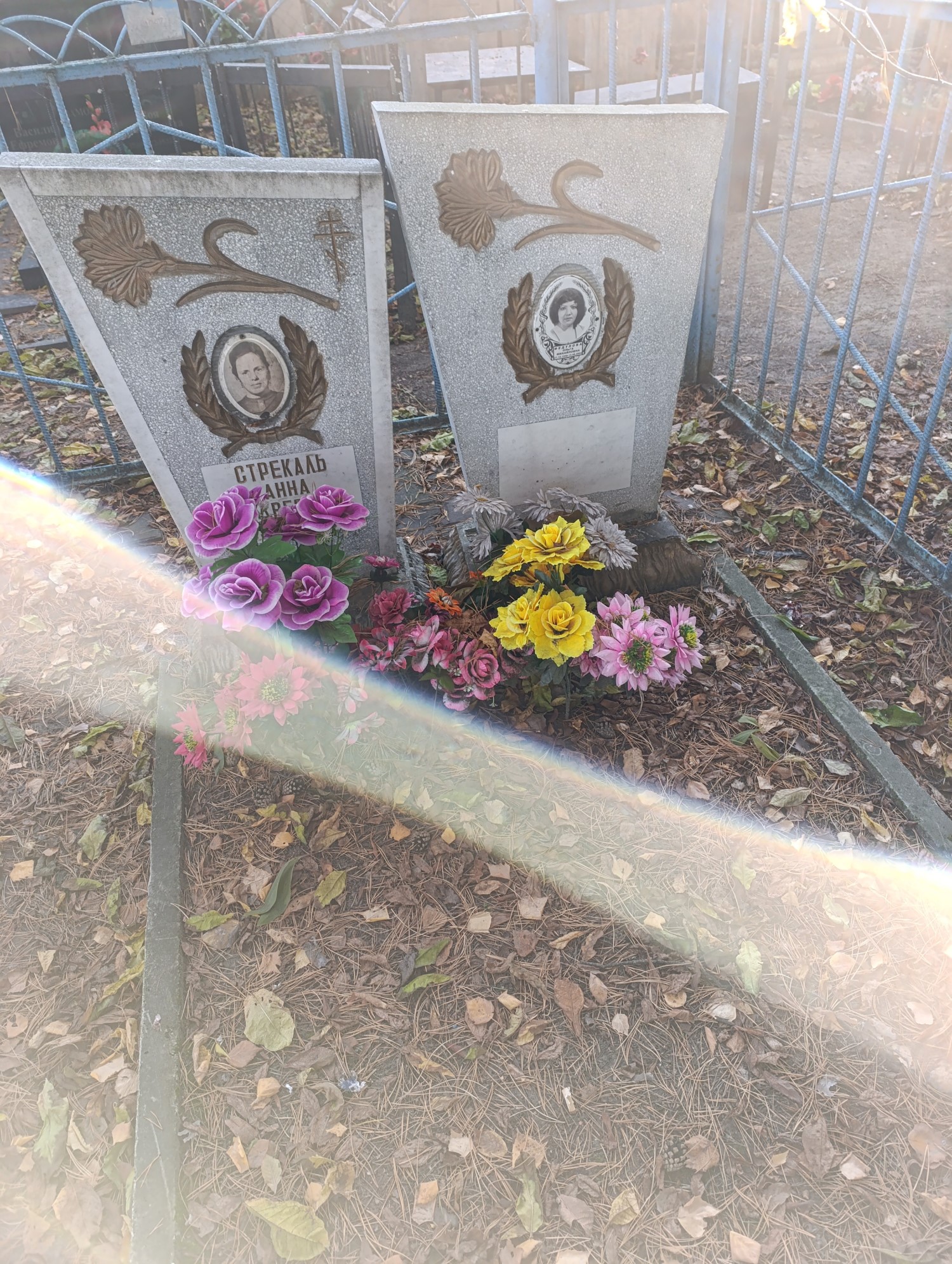 Стрекалова Анна Андреевна