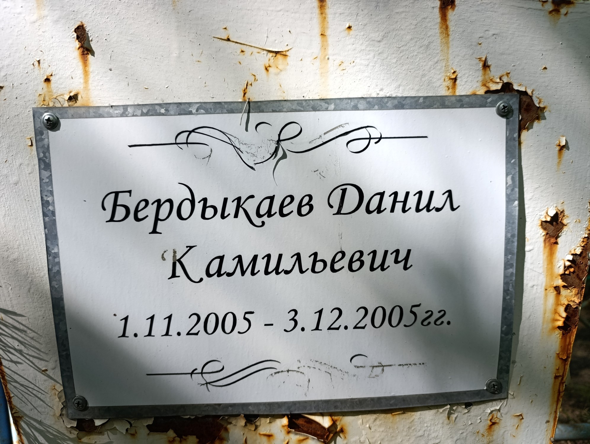 Бердыкаев Данил Камильевич