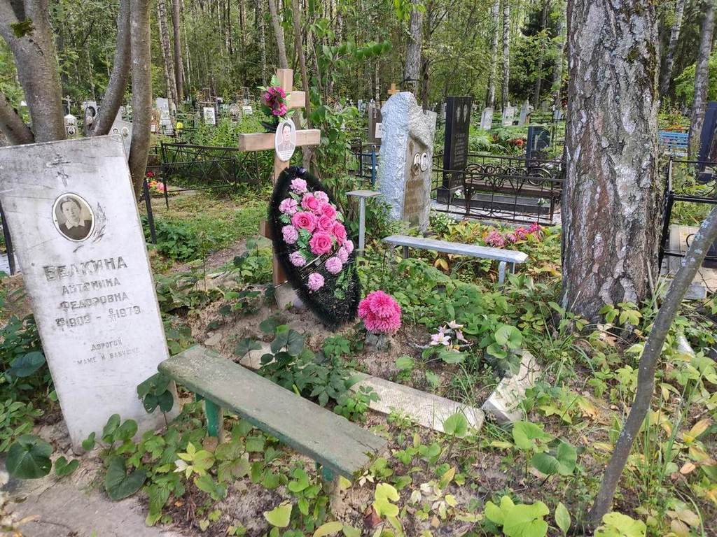 Белкина Эмилия Анатольевна