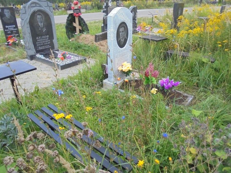 Черноволов Александр Васильевич