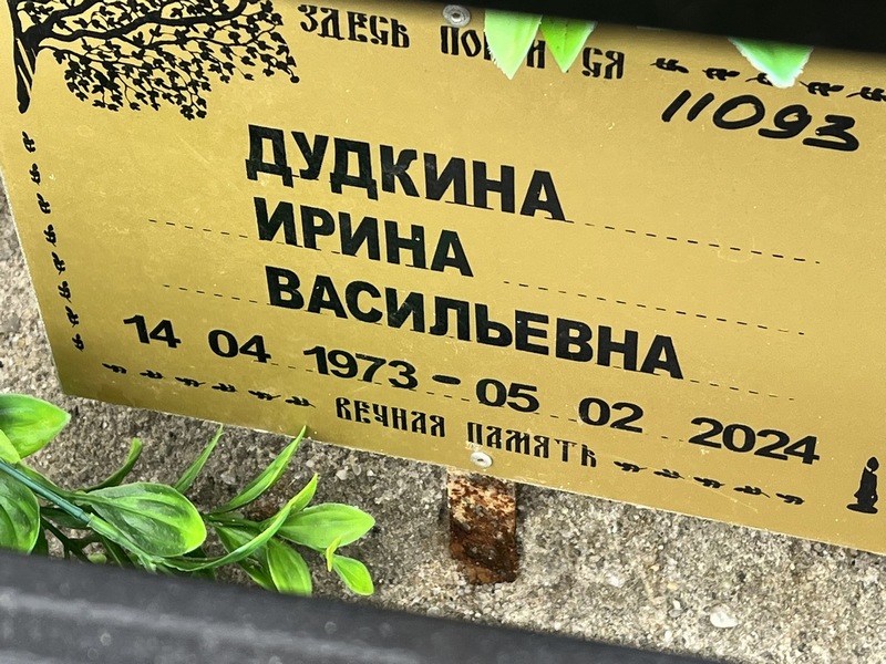 Дудкина
