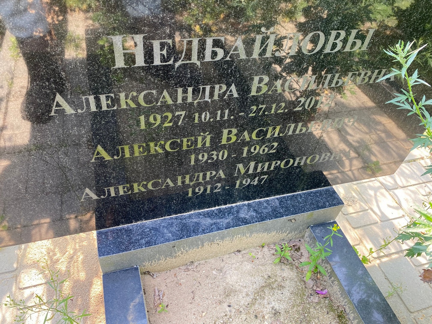 Недбайлова Александра Васильевна