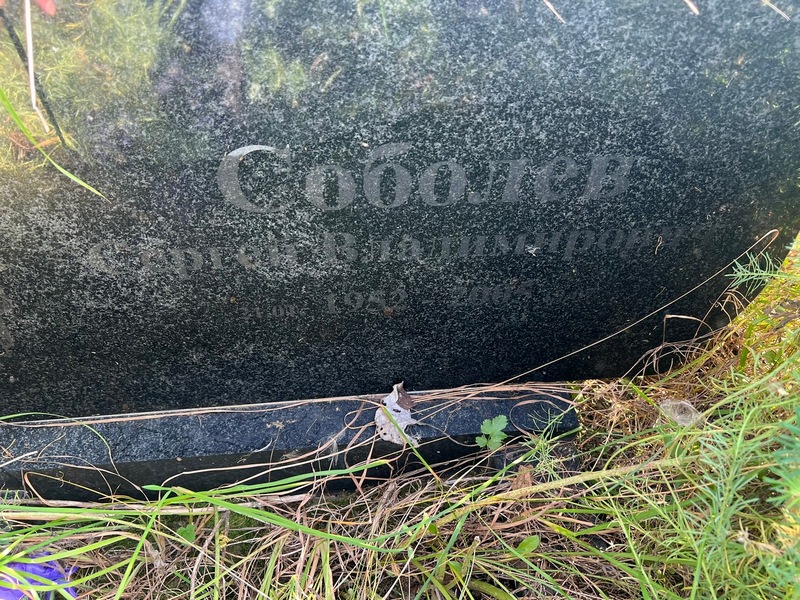 Соболев