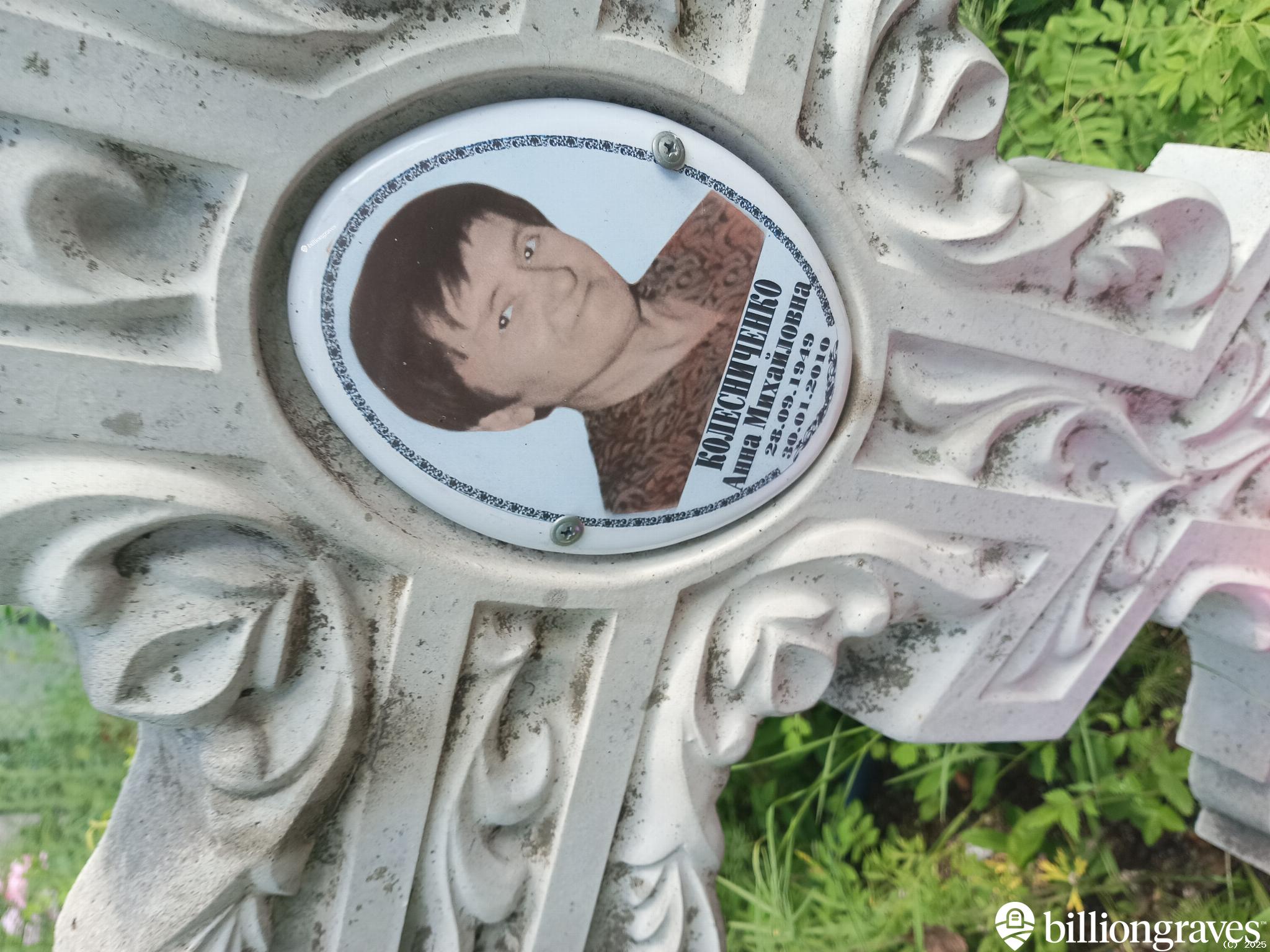 Колесниченко Анна Михайловна