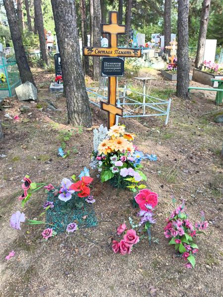 Пешков Николай Александрович