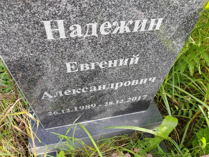 Надежин