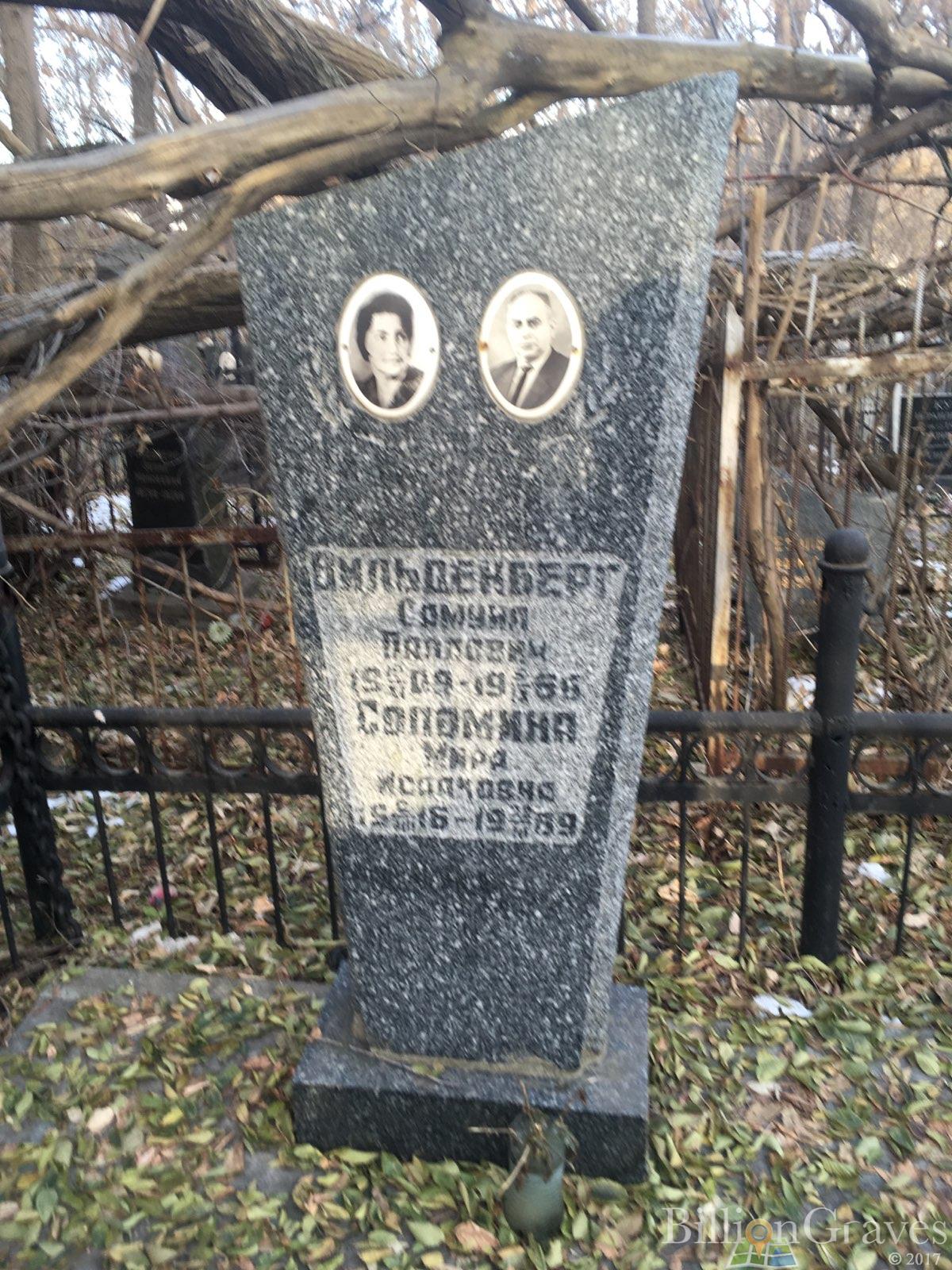 Соломина Мира Исааковна