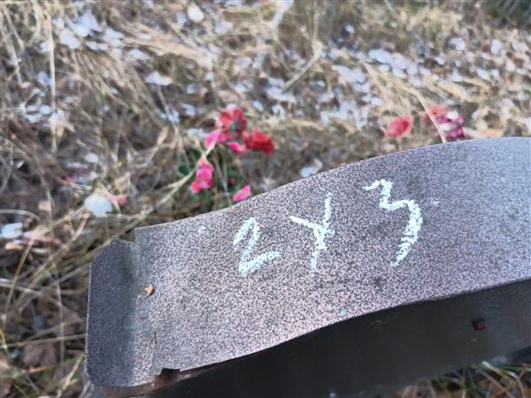 Холкина Александра Георгиевна