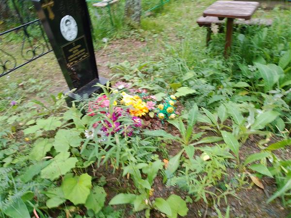 Чистякова Вера Александровна