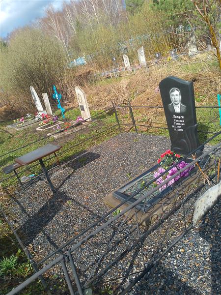 Лапуга Николай Титович