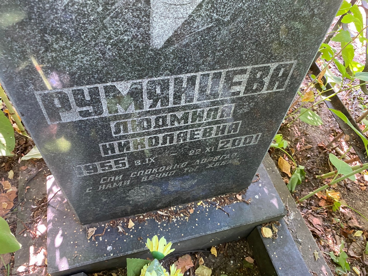 Румянцева