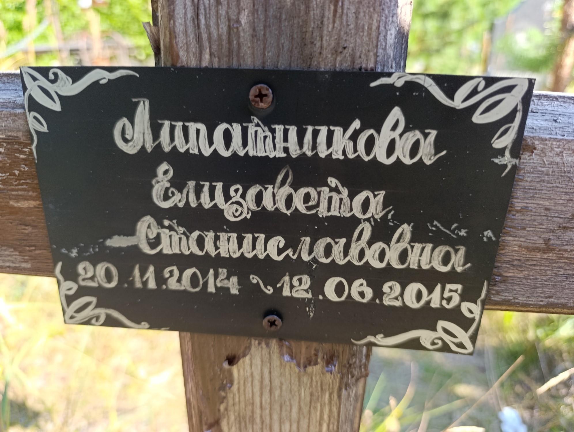 Липатникова Елизавета Станиславовна