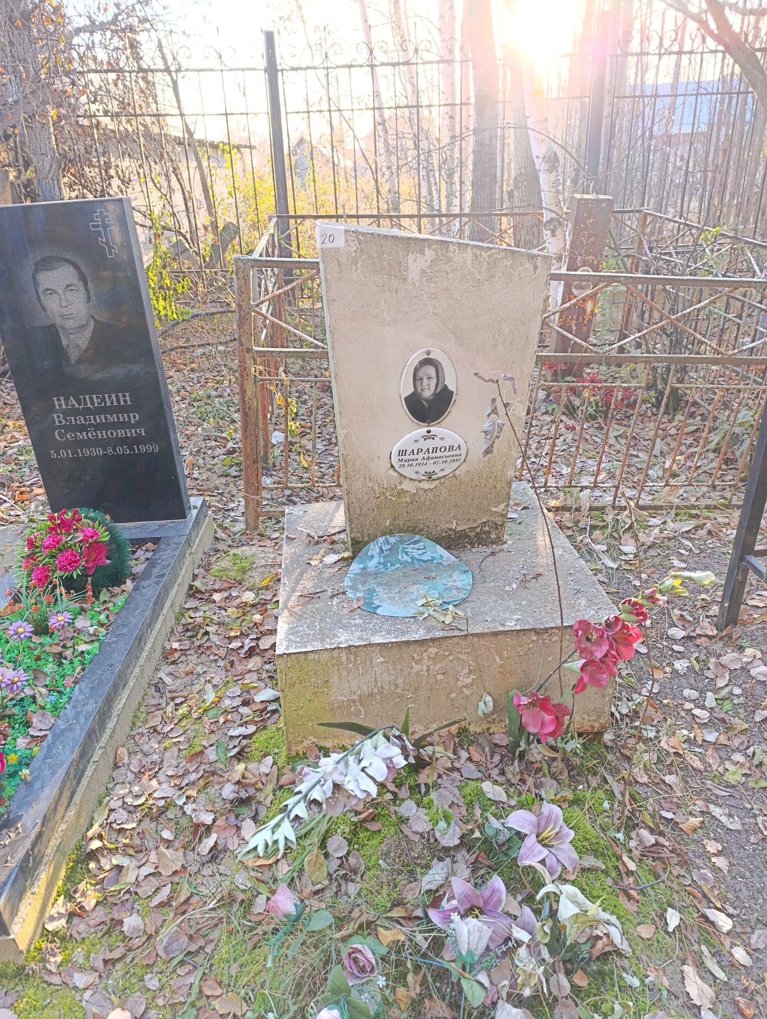Шарапова Мария Афанасьевна