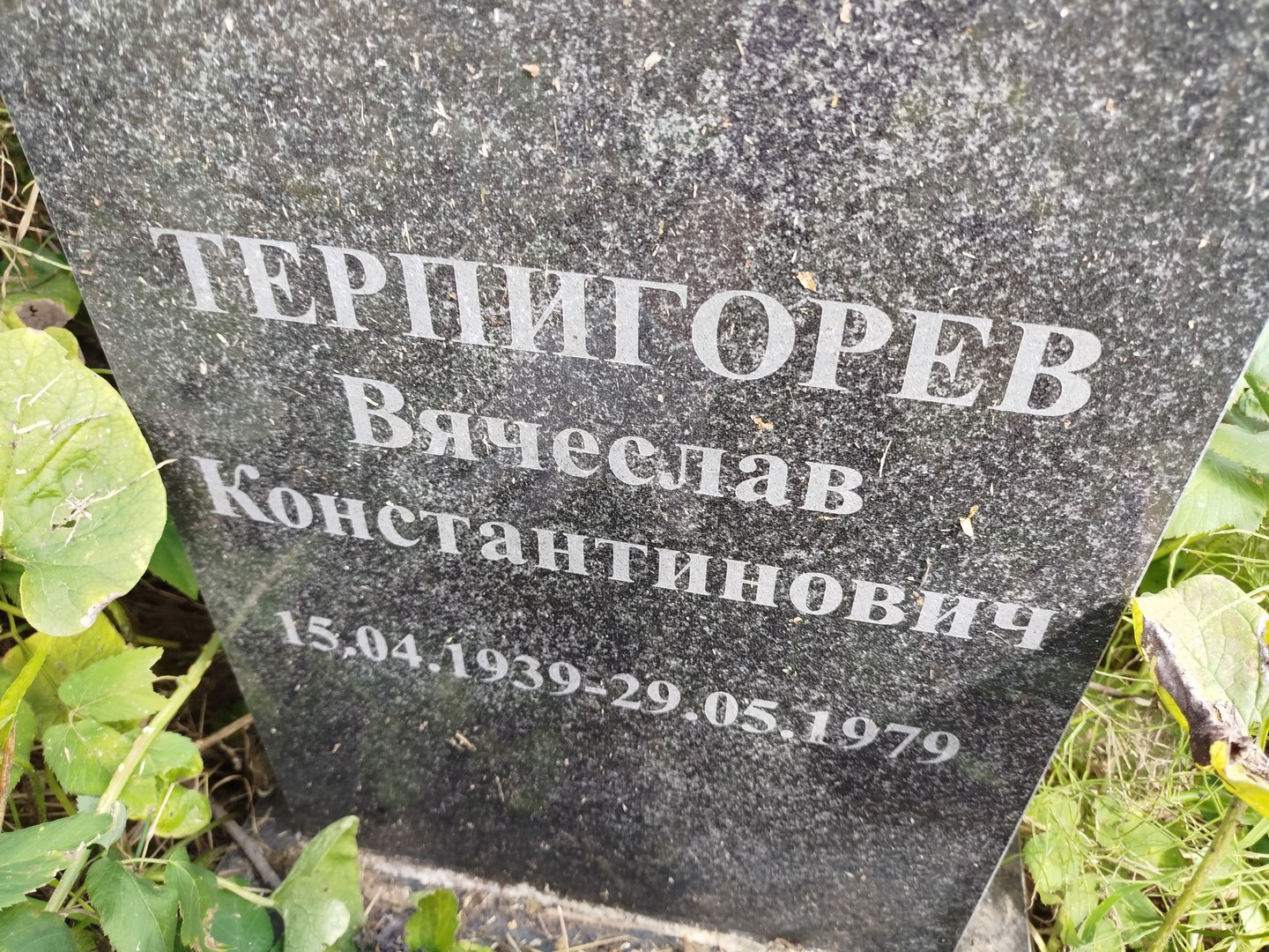Терпигорев