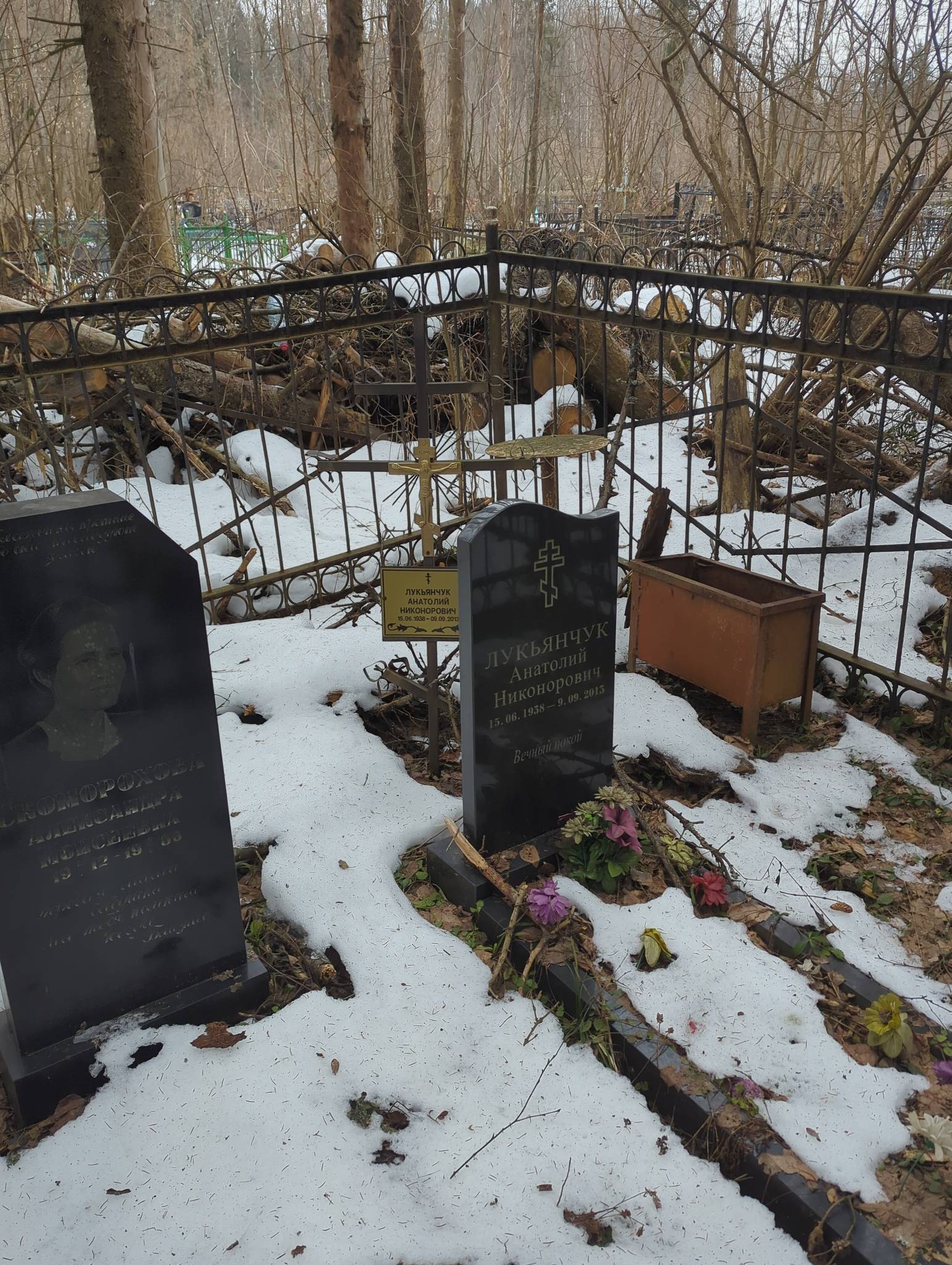 Лукьянчук Анатолий Никонорович