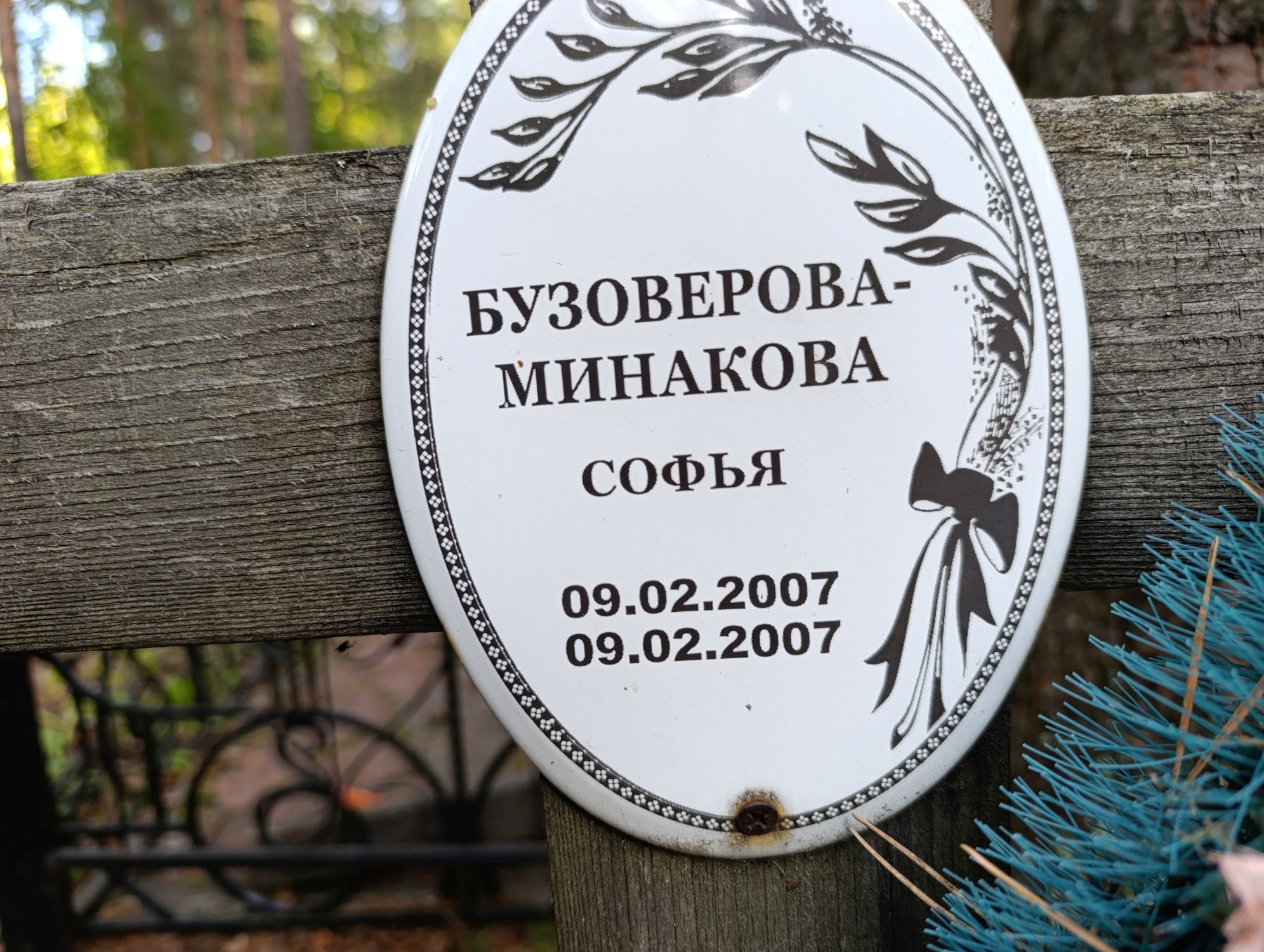 БузовероваМинакова Софья