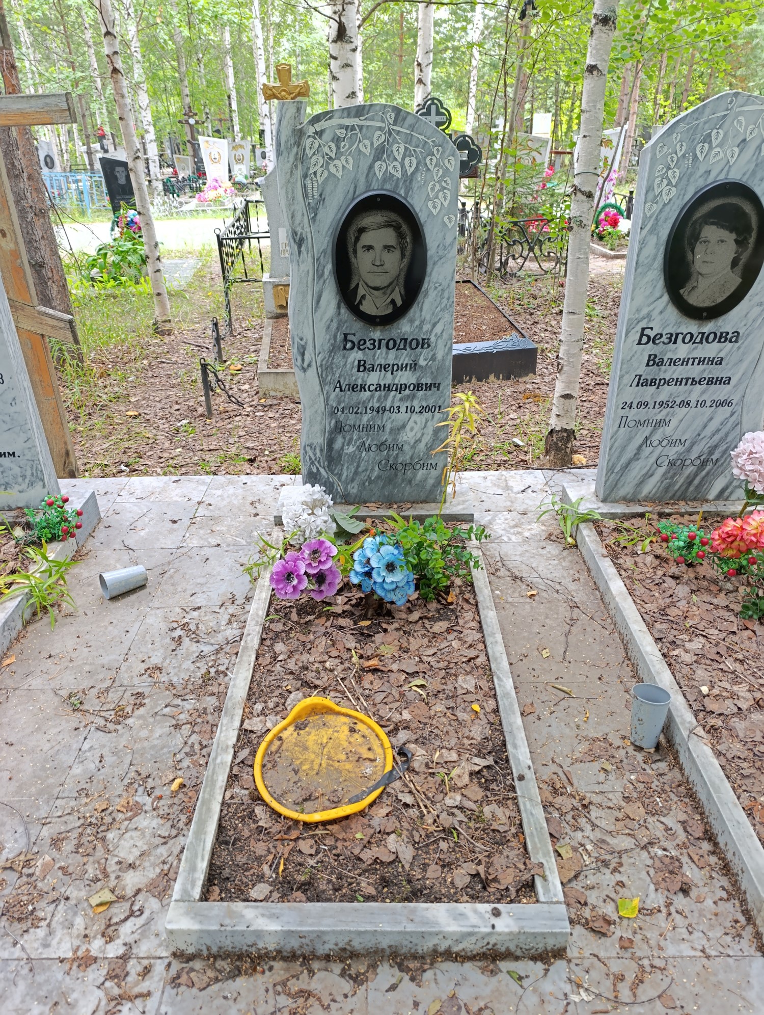Безгодов Валерий Александрович