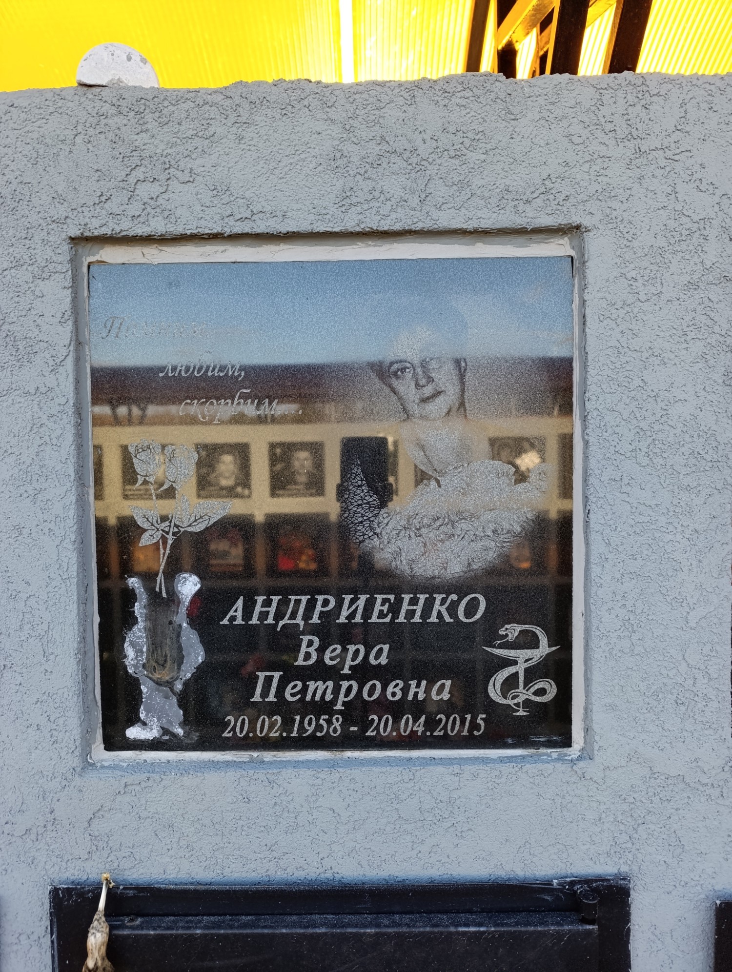 Андриенко Вера Петровна