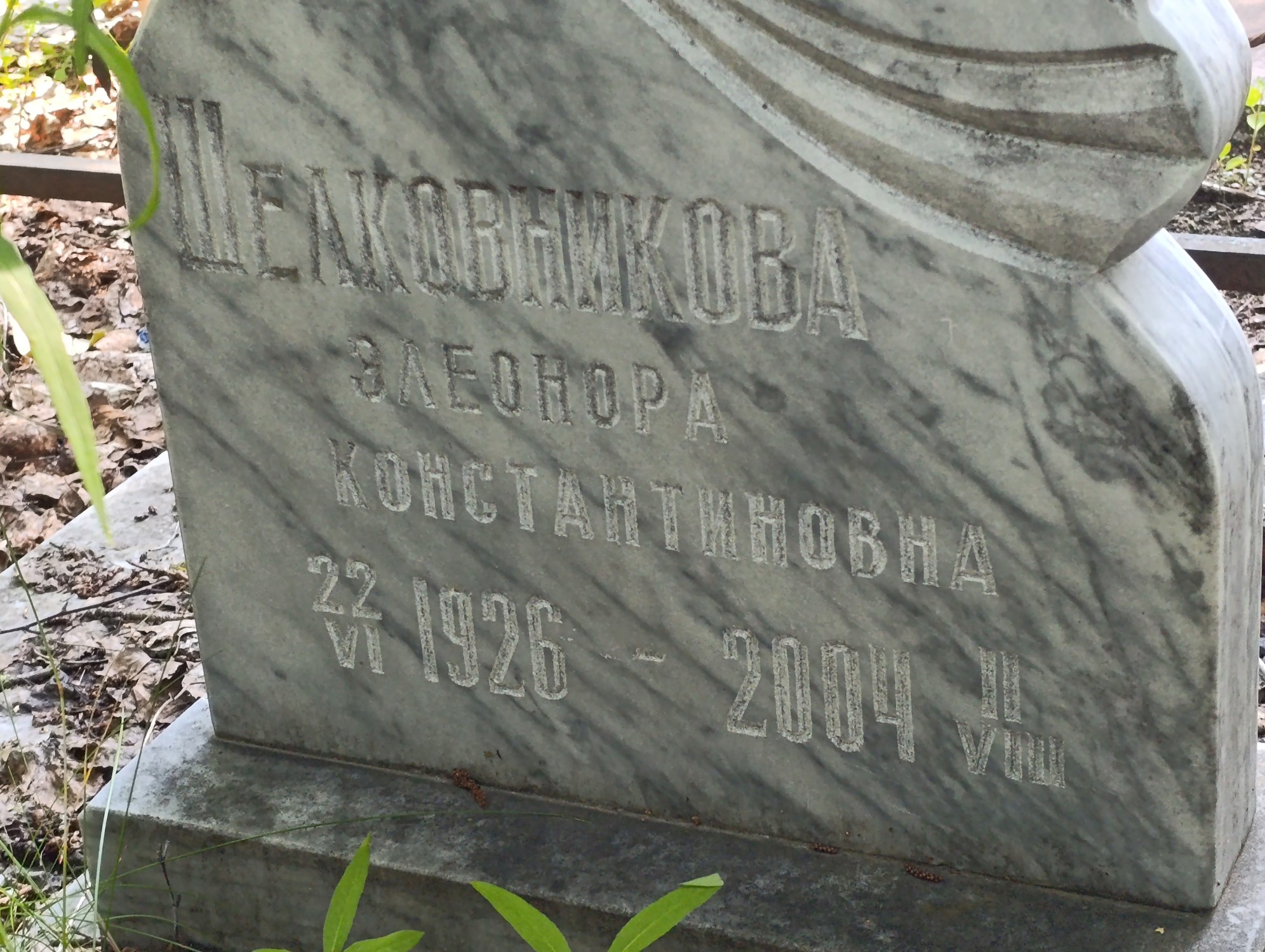 Шелковникова Элеонора Константиновна