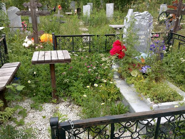 Панкович Александр Петрович