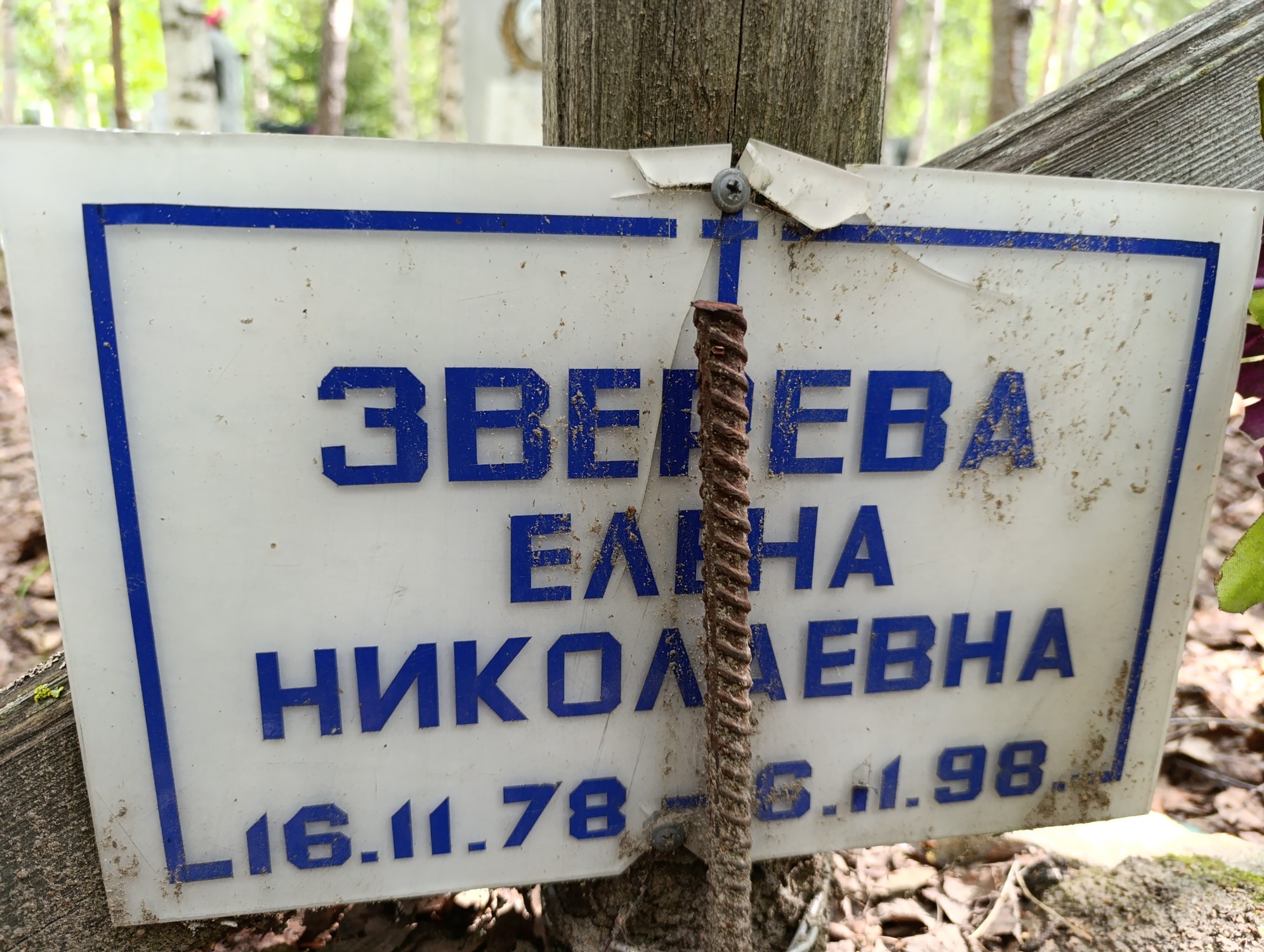 Зверева Елена Николаевна