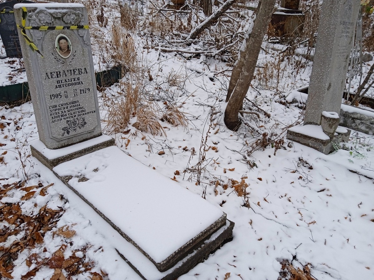 Левачева Пелагея Антоновна