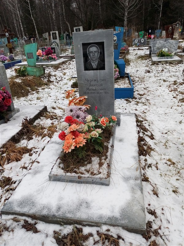 Черемухин Дмитрий Михайлович