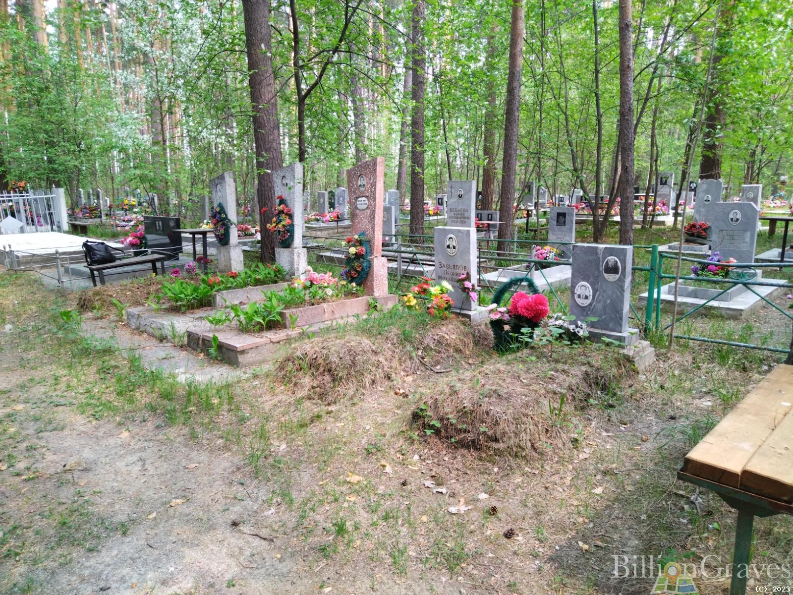 Завьялова Анастасия Андреевна