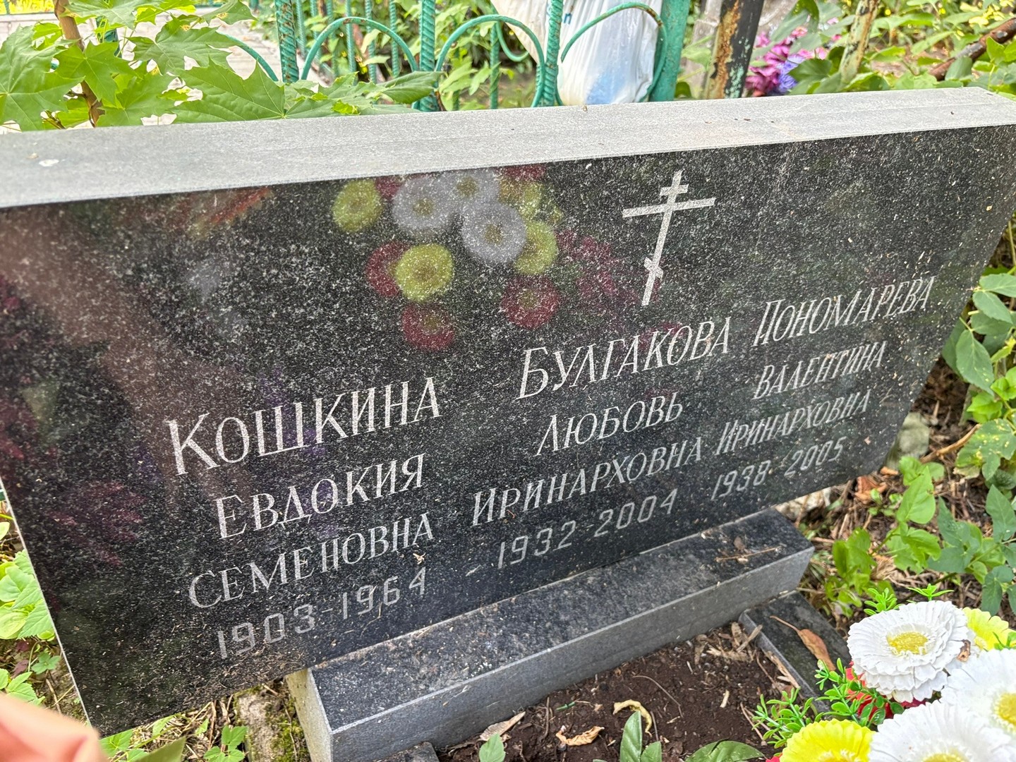 Кошкина