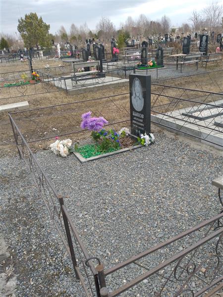 Быков Анатолий Николаевич