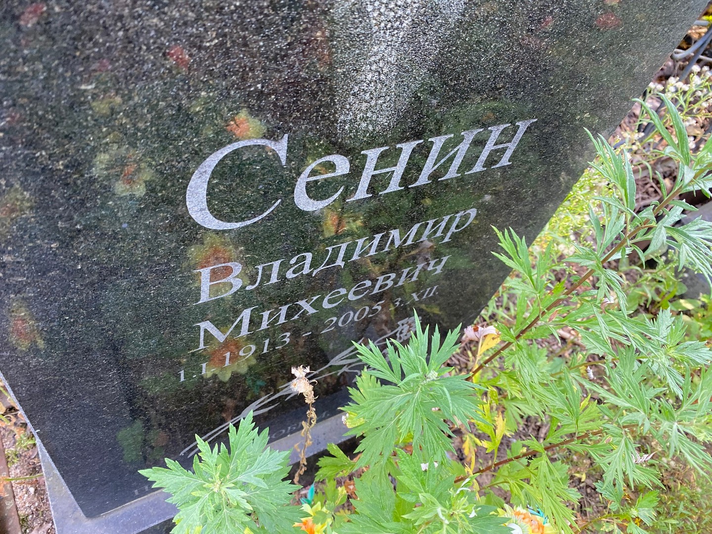 Сенин
