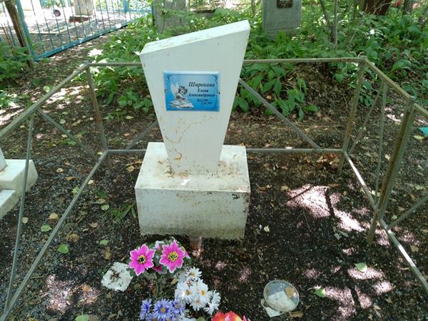 Широкова Елена Александровна