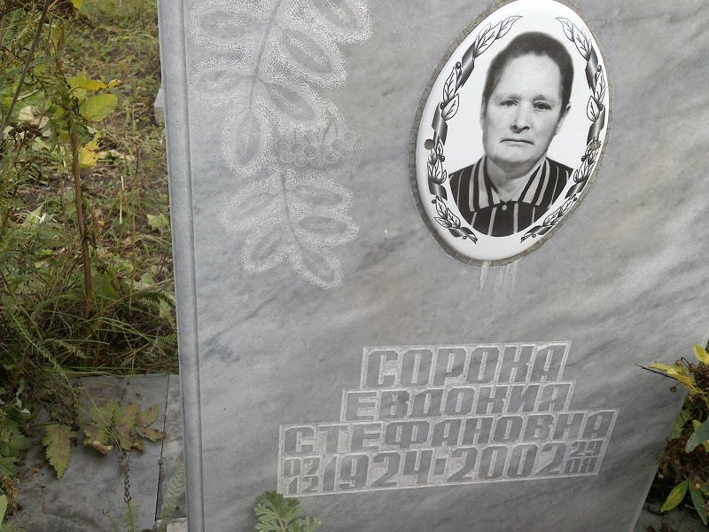 Сорока