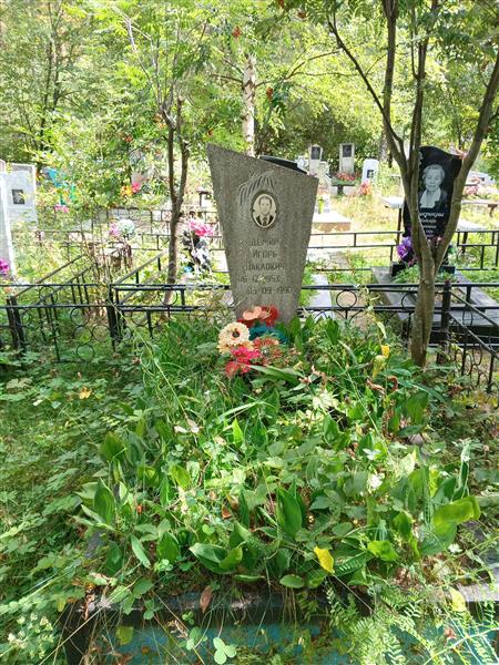 Демин Игорь Павлович