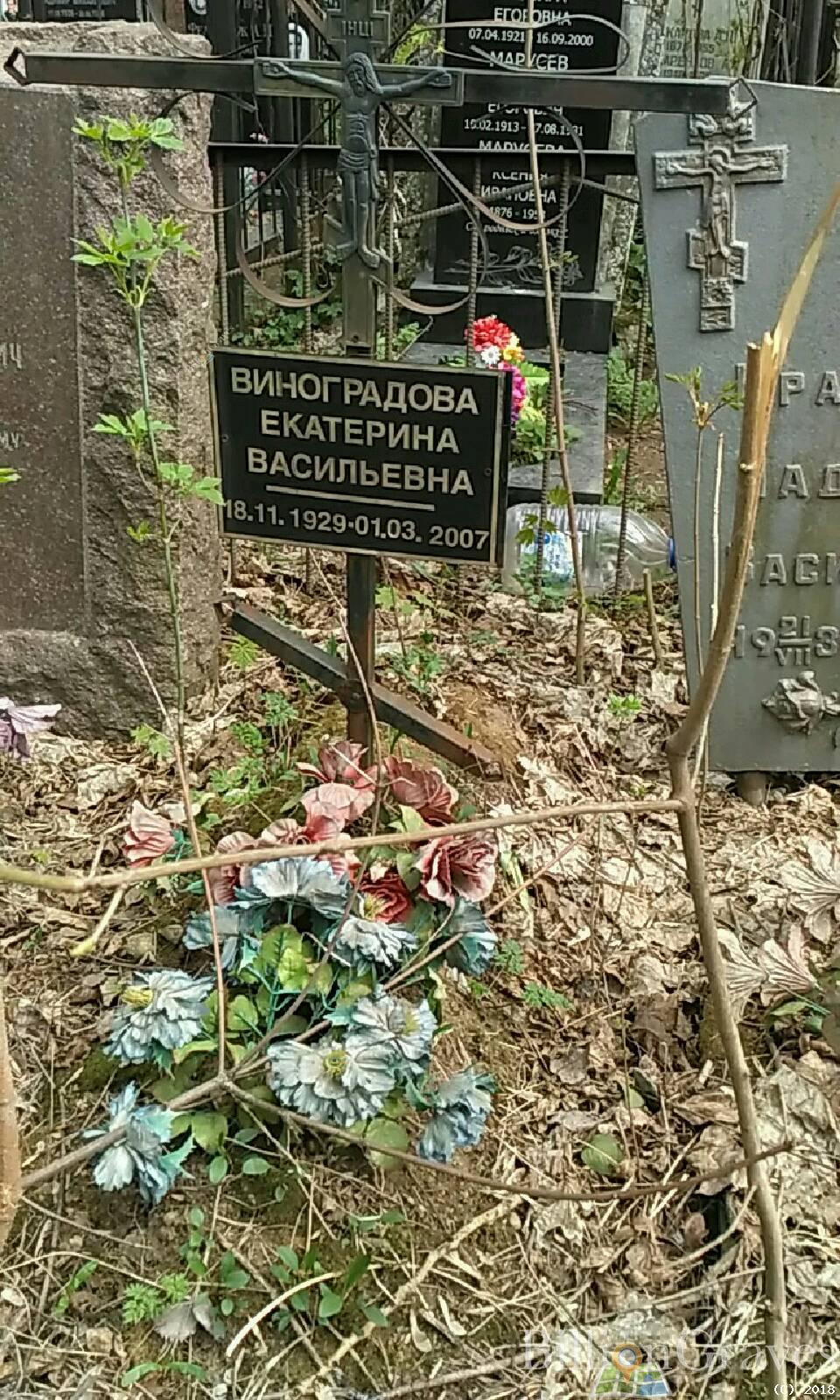 Виноградова Екатерина Васильевна