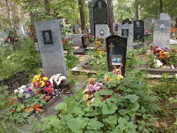 Черепанова Зиниада Петровна