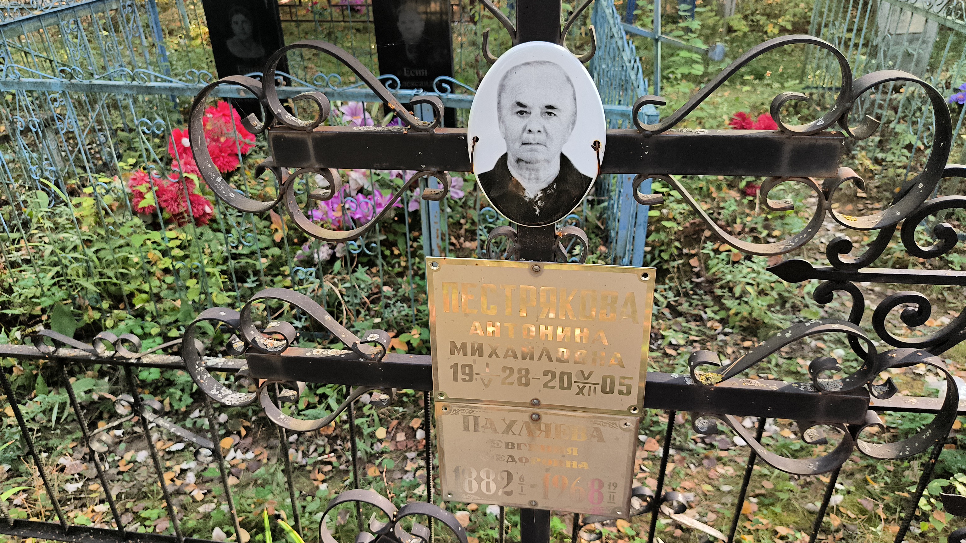 Пахляева Евгения Федоровна
