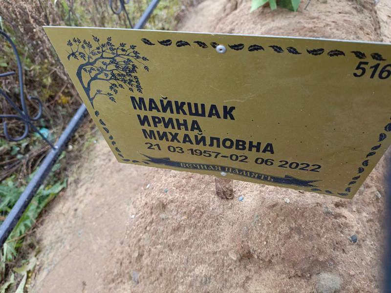Майкшак