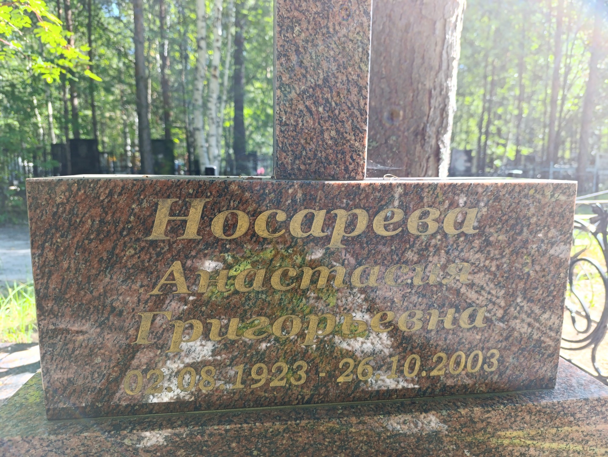 Носарева Анастасия Григорьевна