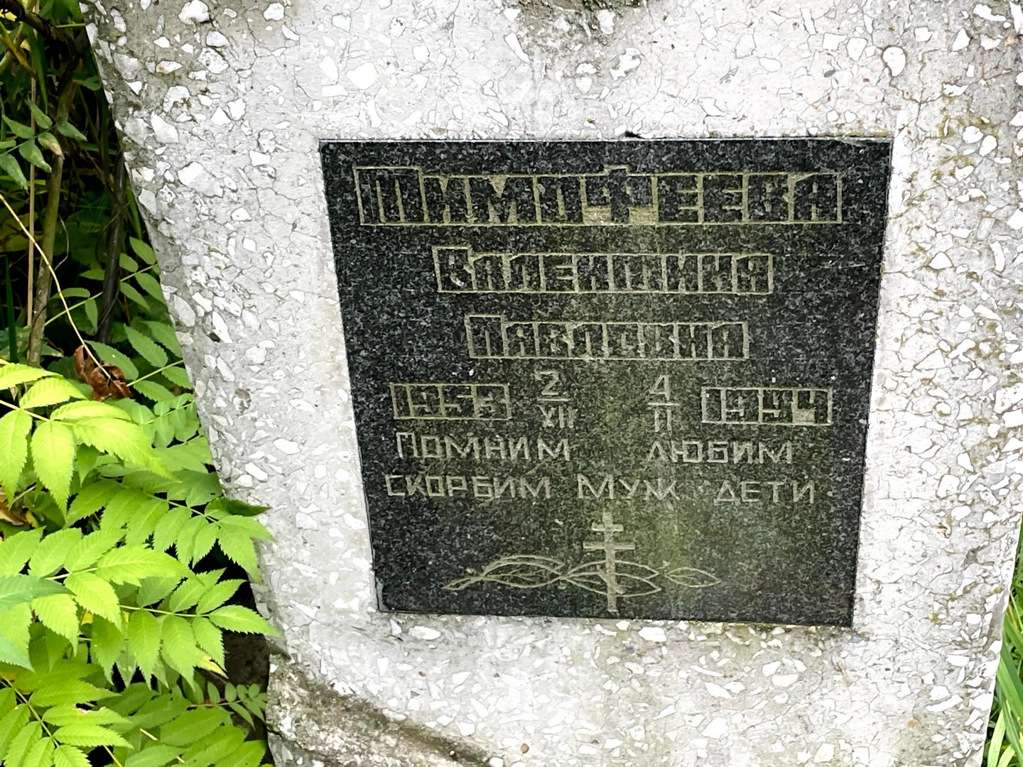 Тимофеева