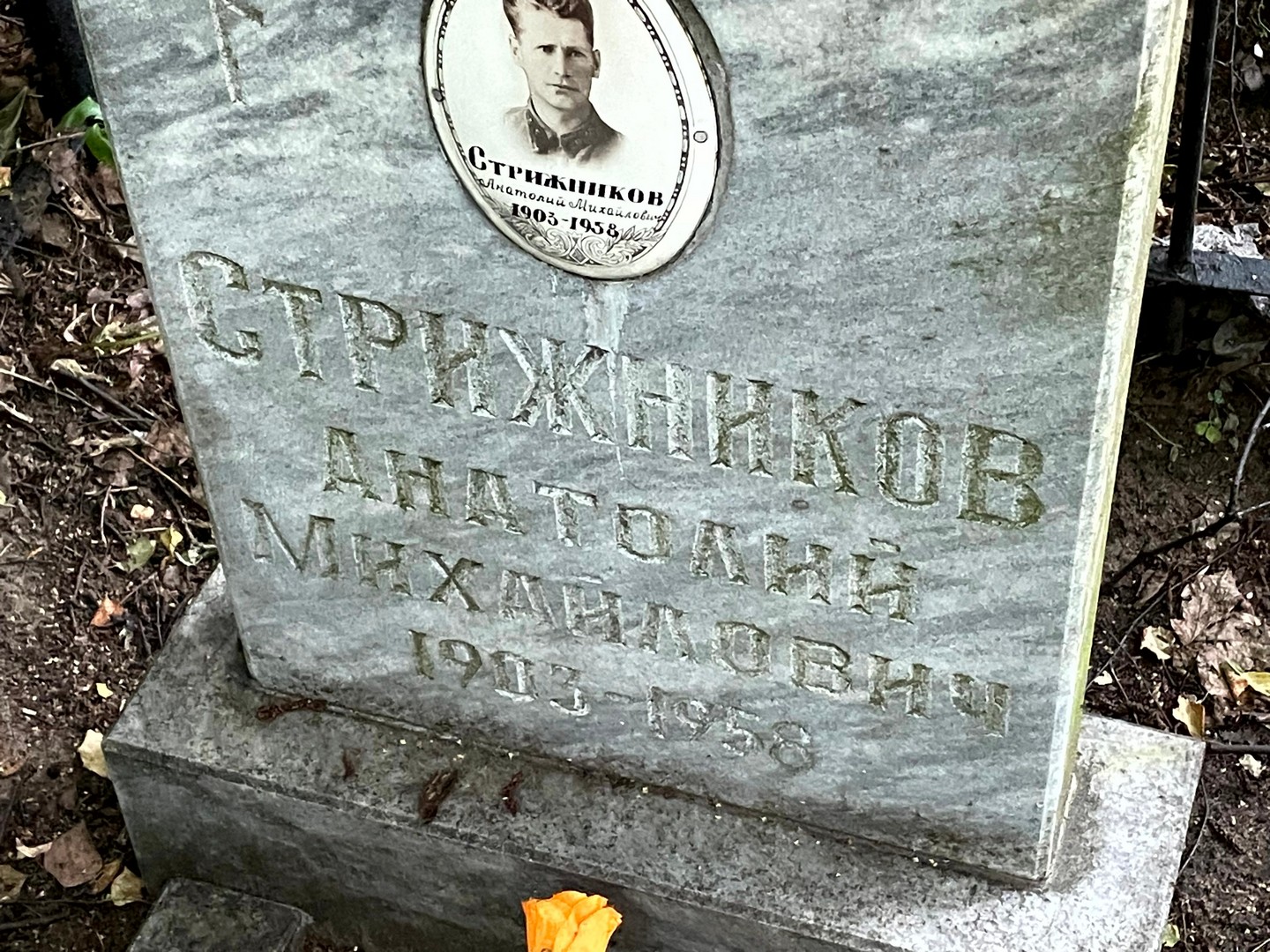Стрижников