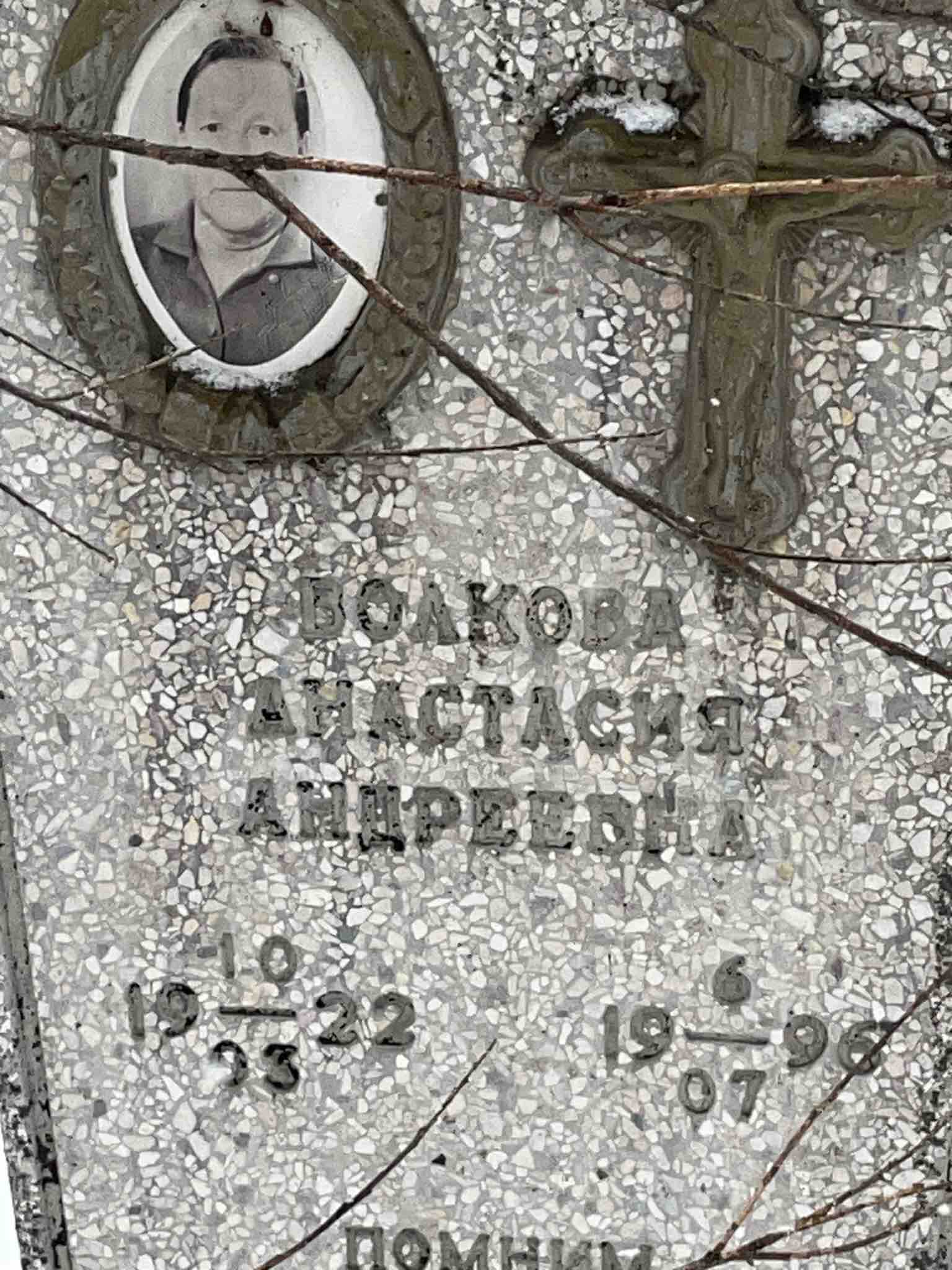 Волкова Анастасия Андреевна