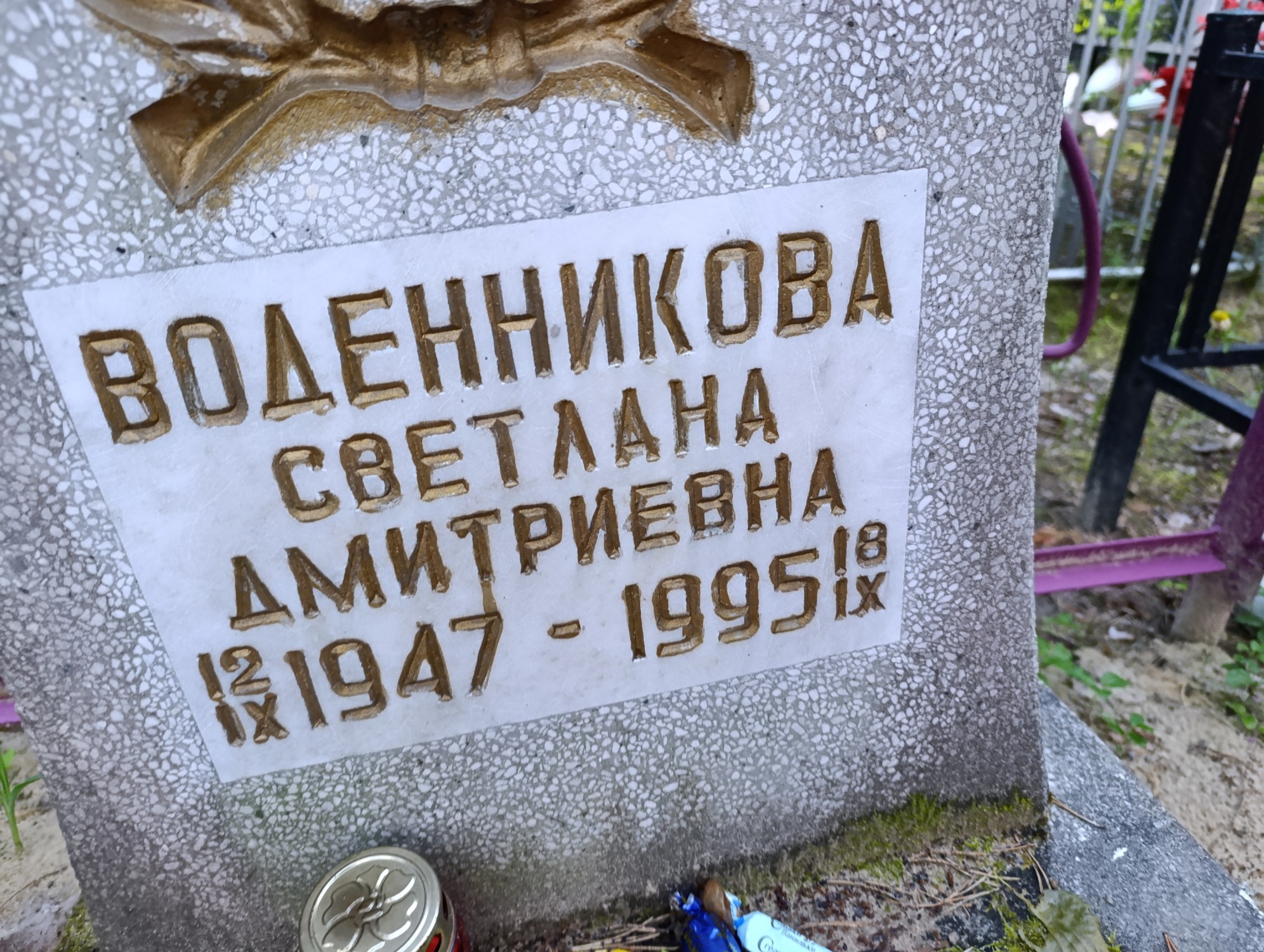 Воденникова Светлана Дмитриевна