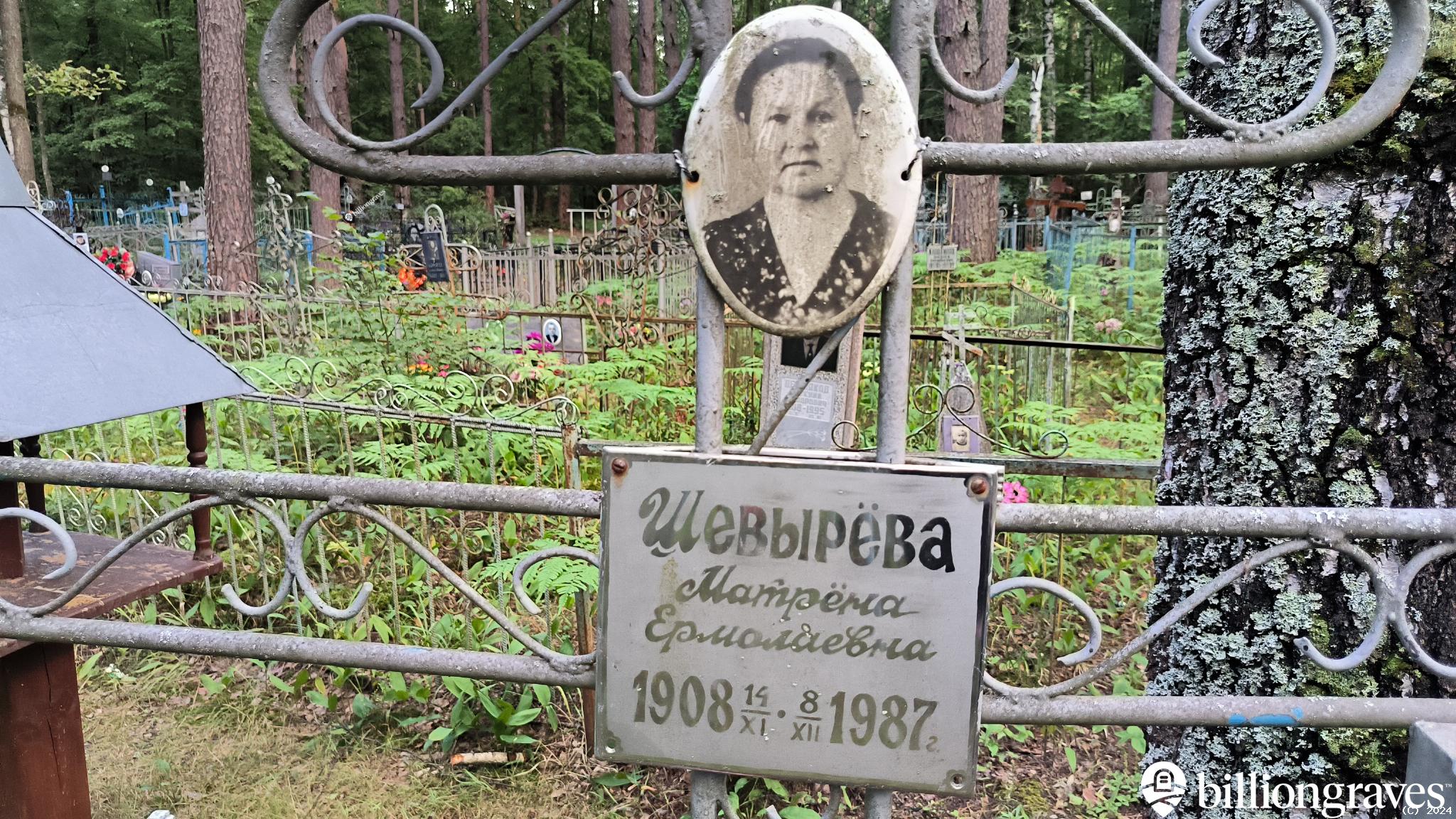 Шевырёва Матрёна Ермолаевна